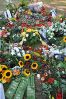 Erdrutsch in Nachterstedt